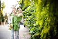 Chusta kółkowa do noszenia dzieci, tkana splotem skośno-krzyżowym  - bawełniana - Pistacjowe Lato - long 2.1m #babywearing