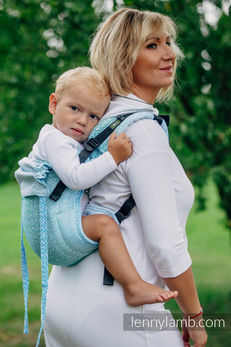 big baby carrier