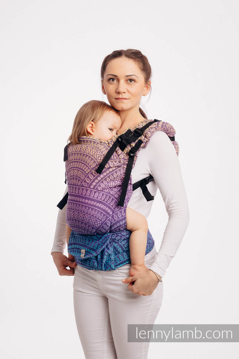 Lennyup baby carrier clearance