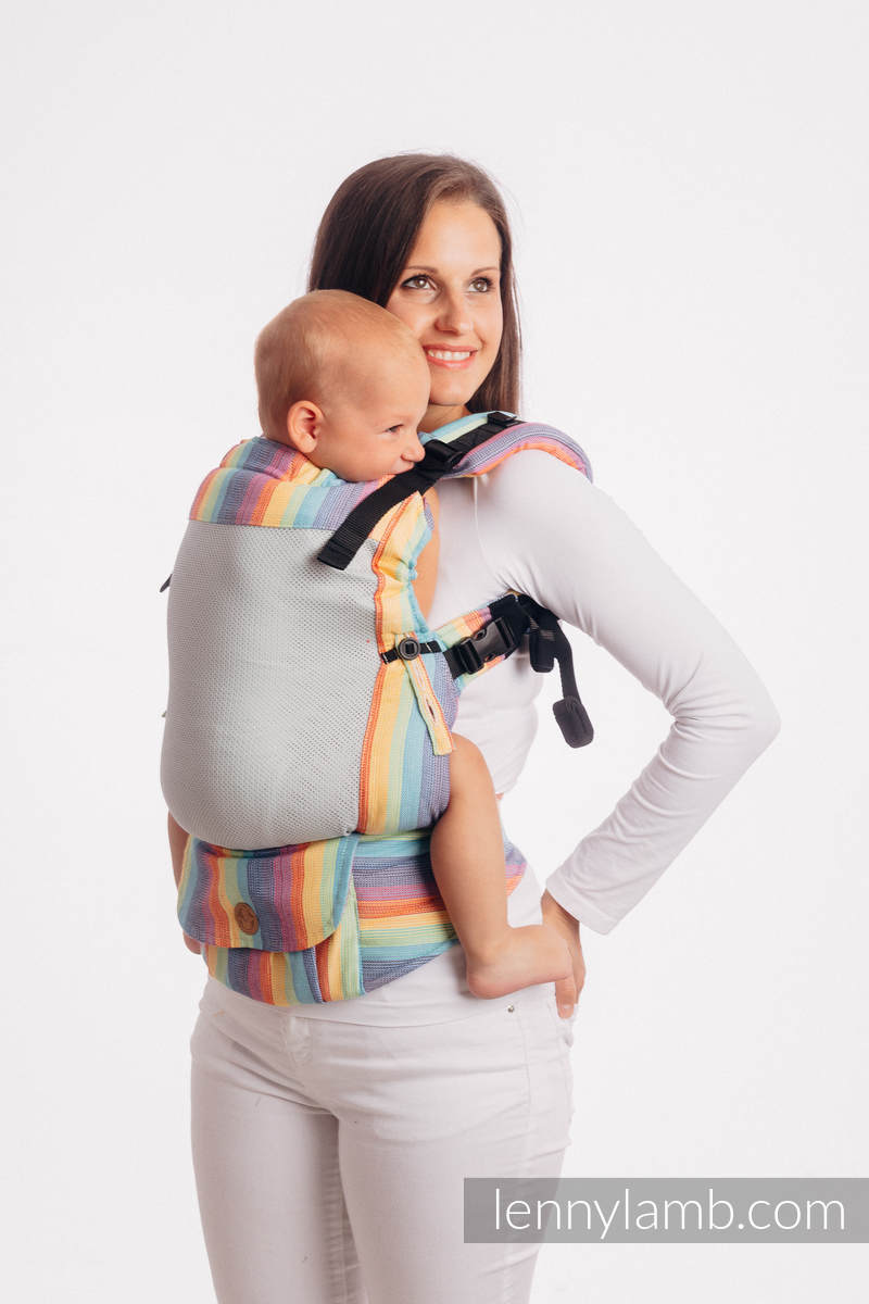 mesh carrier