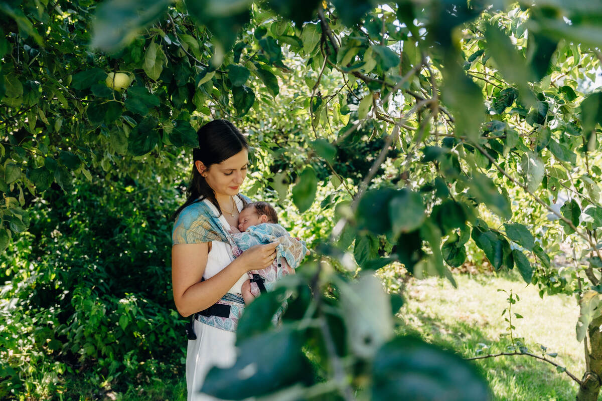 Porte-bébé LennyHybrid Half Buclke, taille standard, jacquard, 100% coton - TANGLED - PLAIT (grade B) #babywearing