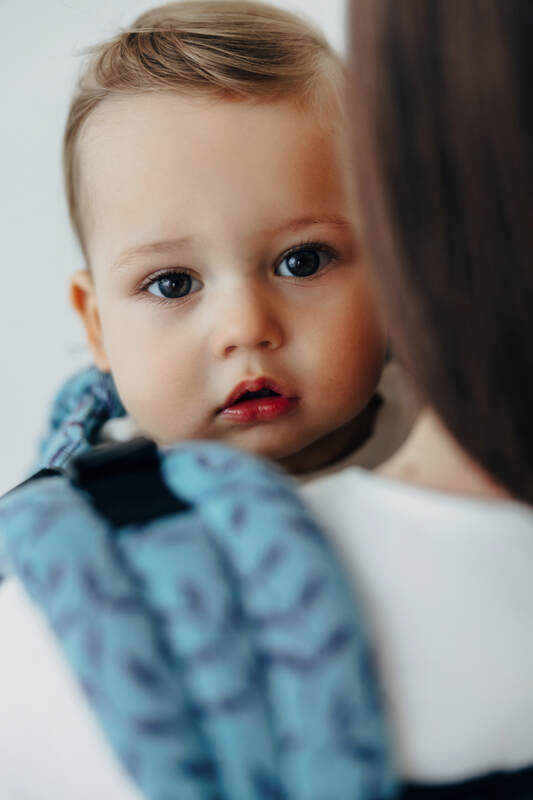 LennyUpGrade PRO Tragehilfe, Größe Standard, Jacquardwebung, 100% Baumwolle - ENCHANTED NOOK - FAIRY #babywearing