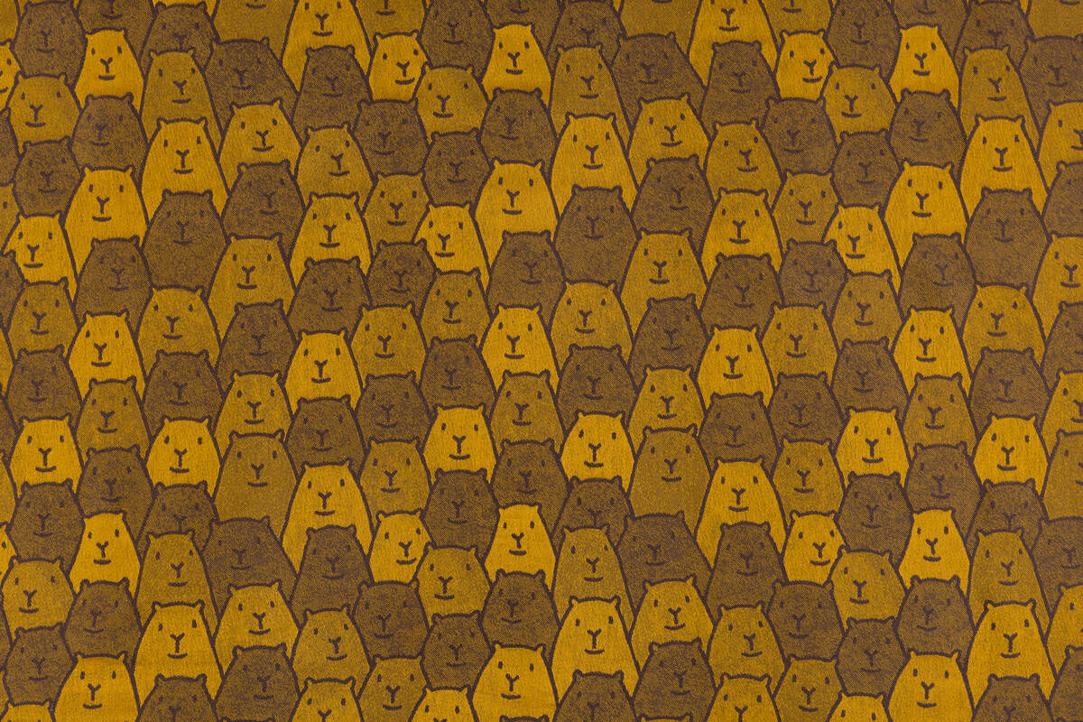 :WVJ_XS_CPBRS_TRB #babywearing