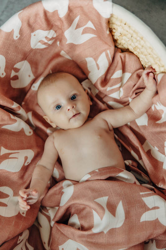 Swaddle Blanket - BIRDY - CANDY FLOSS #babywearing