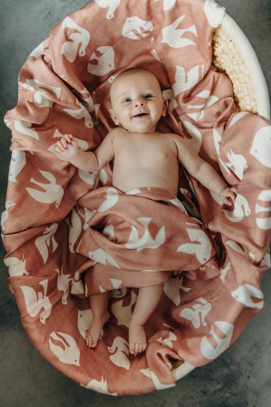 Swaddle Blanket Maxi - BIRDY - CANDY FLOSS #babywearing