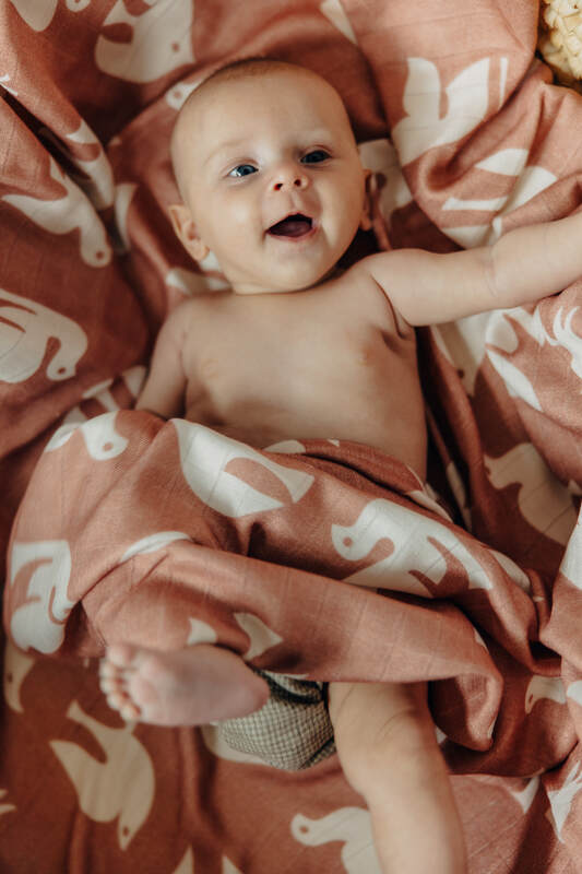 Swaddle Blanket - BIRDY - CANDY FLOSS #babywearing