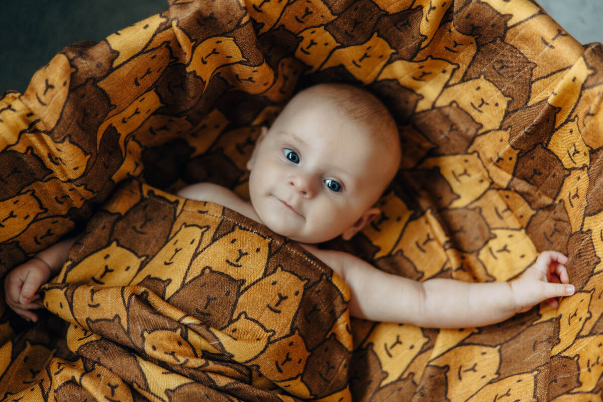 Swaddle Blanket - CAPYBARAS - TRIBU #babywearing
