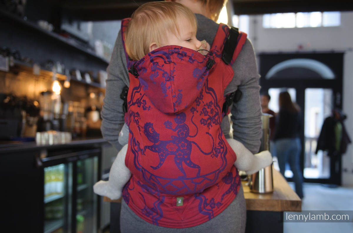 :LE_BB_MC_RD_PRPL #babywearing
