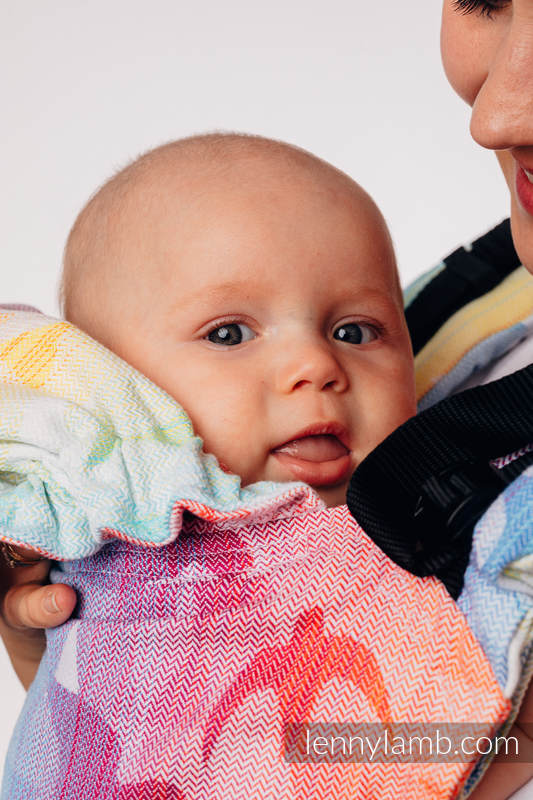LennyGo Ergonomic Carrier, Toddler Size, jacquard weave 100% cotton - SWALLOWS RAINBOW LIGHT #babywearing