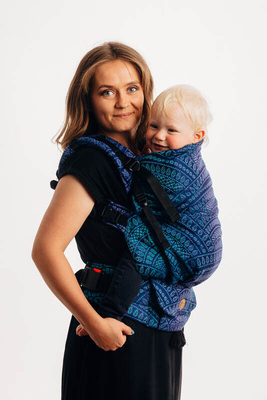 preschool baby carrier