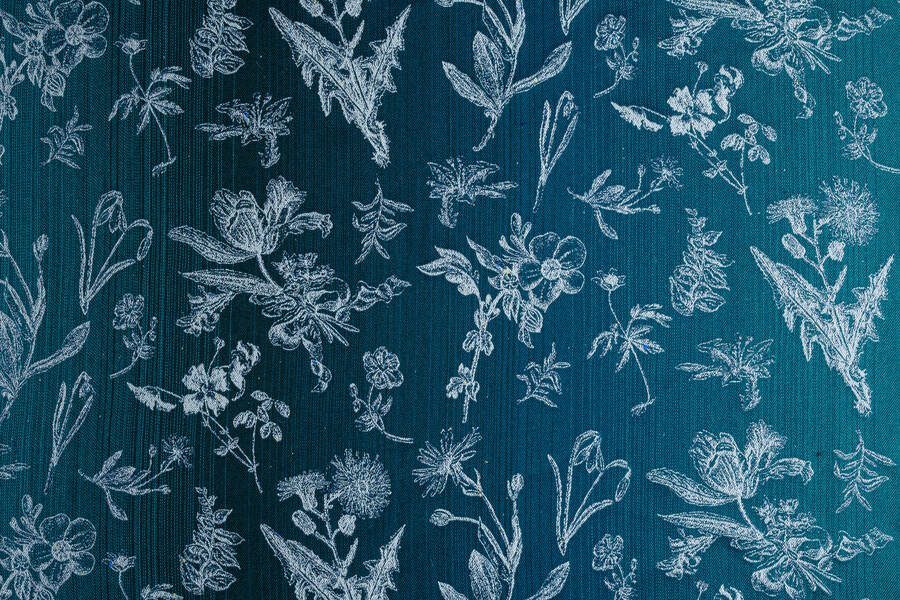 Herbarium — Kay
