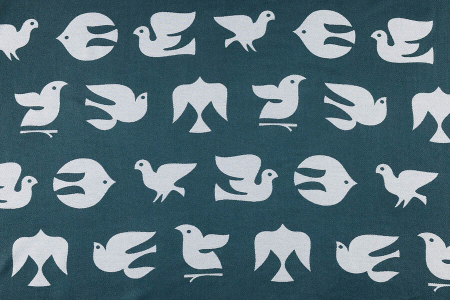 Birdy — Skyward