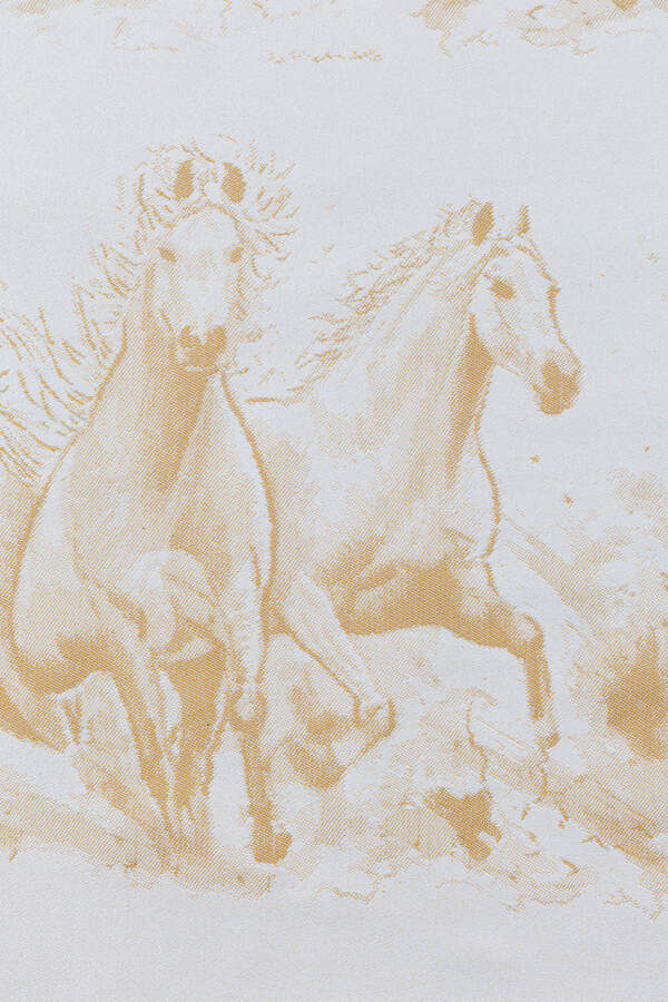 Gallop