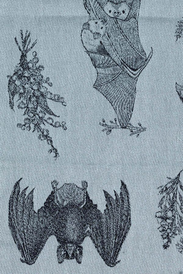 It S Bats