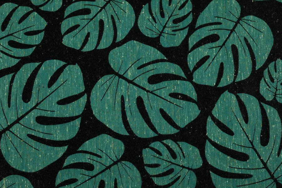 Monstera — Urban Jungle
