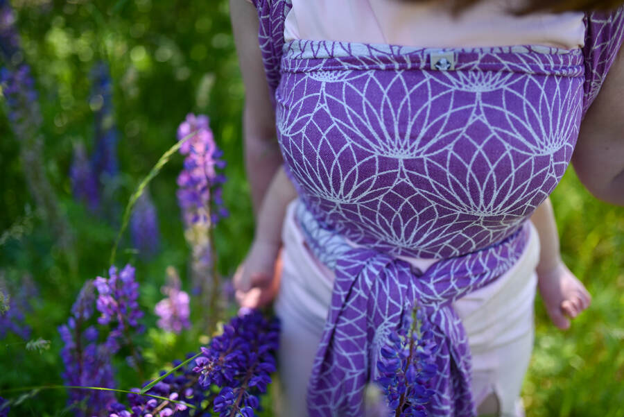 Lotus — Purple