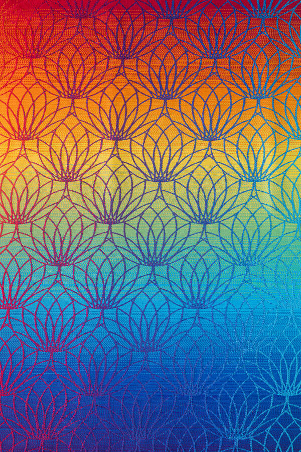 Lotus — Rainbow