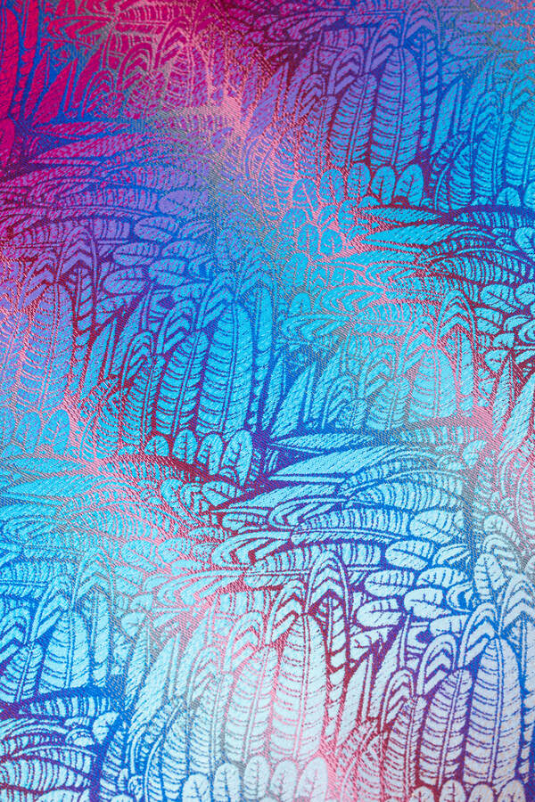 Wild Soul — Blaze