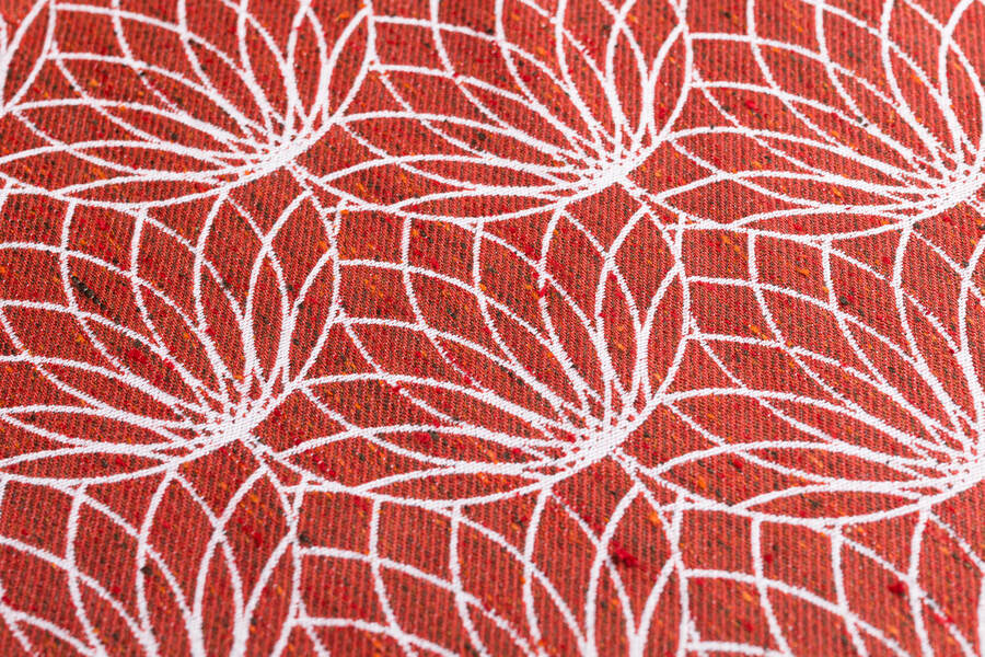 Lotus — Foxy