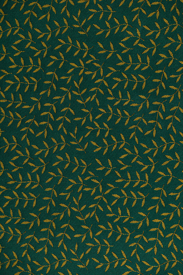 Enchanted Nook — Golden Moss