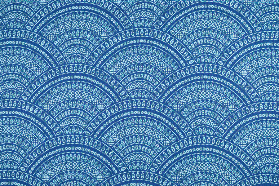 Peacocks Tail — Iris