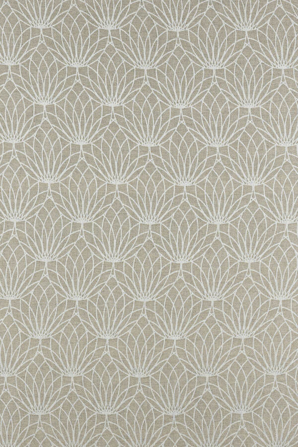 Lotus — Natural